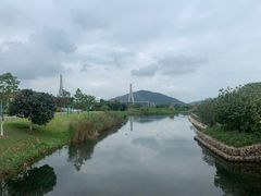 -芒洲湿地公园