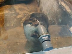 -洛阳龙门海洋馆