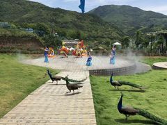 -瓷天下海丝谷