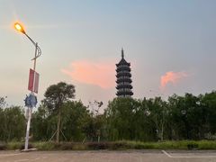 -奉贤海滩