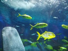 -福州罗源湾海洋世界旅游区