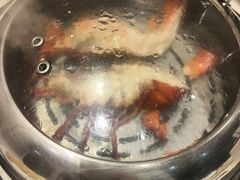 -青蓬蒸汽海鲜·深圳老字号·团建聚会(壹方城店)