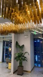 大厅-3AM·S HAIR SALON烫发染发接发