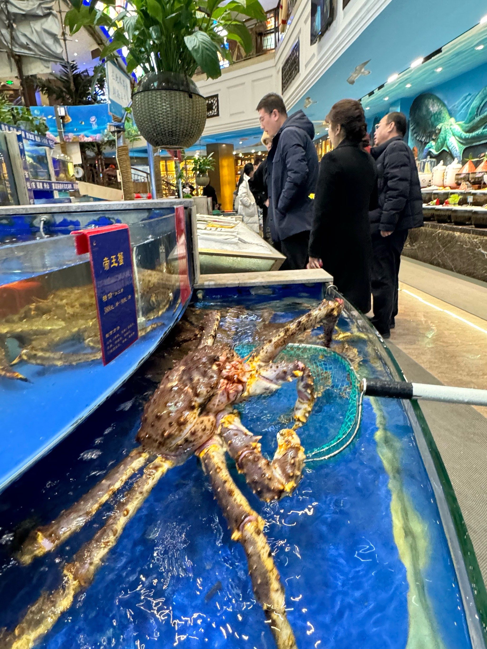 不夸张,合肥人有自己的海鲜市场
