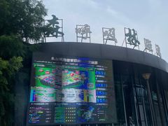 -黄海国家森林公园