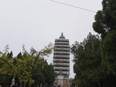 -原山国家森林公园