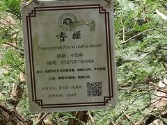 -磐安十八涡风景区