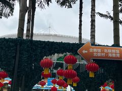 -海合安成都极地海洋公园