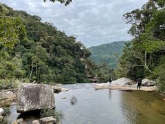 -海南热带雨林国家公园吊罗山景区