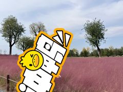 -汉长安城未央宫国家考古遗址公园