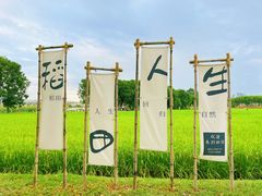 -光明小镇欢乐田园