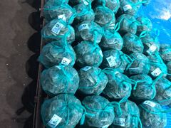 -新农都水产市场