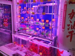-宝鸡东道花鸟鱼虫市场(吉利花园商场店)