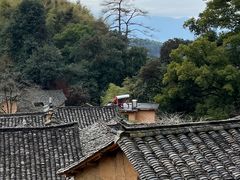 -杨家堂村