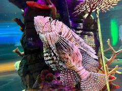 -沈阳海洋探索中心