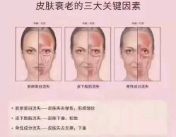 点击看大图 -玛莲朵·海菲秀冰珀科