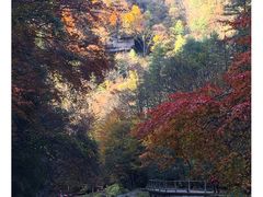 -黎坪国家森林公园