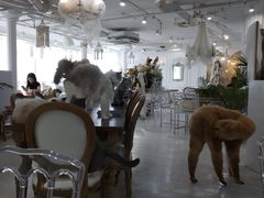 大堂-共舞时光猫咖·狗咖(新街口店)