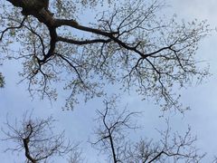 -山塘街