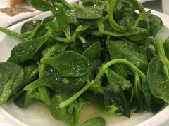 -陶然饺子城(奥体中路店)