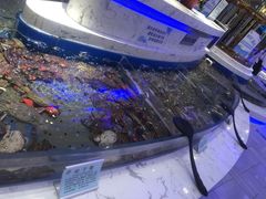 梭子蟹-澜悦港海鲜体验主题餐厅