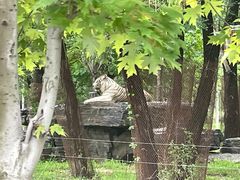-秦皇岛野生动物园