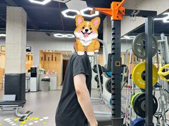 -VPsmart私教健身工作室(新华路旗舰店)