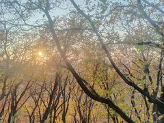 -帽儿山国家森林公园