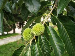 -北京宽沟会议中心