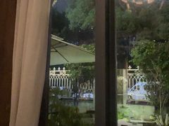 -一棵树·意大利西餐厅One Tree(新城店)