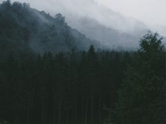 -硗碛藏寨·神木垒景区