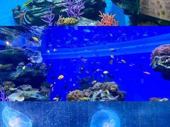 -郑州海洋馆