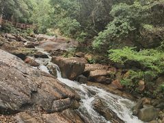 -广州白江湖森林公园