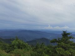 -王顺山国家森林公园