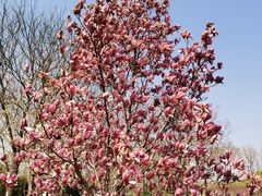 -永定河休闲森林公园