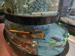 -鹏城人家海鲜酒家·23年老字号(较场尾店)