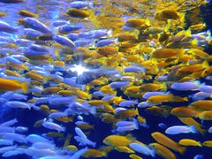 -成都浩海立方海洋公园