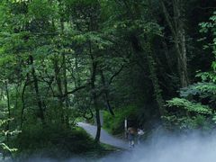 -西岭雪山大飞水景区