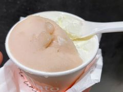 -DIP in GELATO(富民路店)
