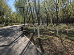 -东郊湿地公园