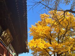 -红螺寺