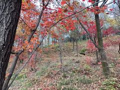 -本溪老边沟风景区