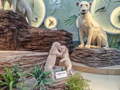 -陕西自然博物馆