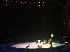 -珠海横琴长隆《卡卡虎奇遇记》