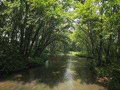 -西溪南古村落景区
