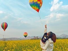 -桑洲油菜花景区