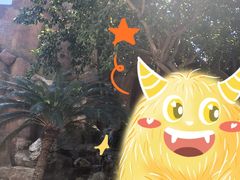 -芽庄珍珠岛游乐园