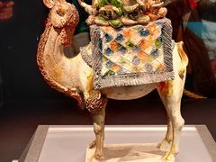 -陕西历史博物馆