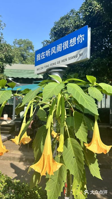听风阁农家私房菜茶楼(龙坞店)图片