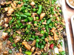 -铁山坪森林公园